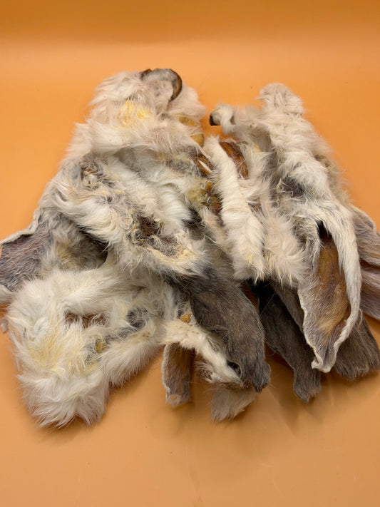 Konijnenoren – 100% Natuurlijk Hondensnack | 250g