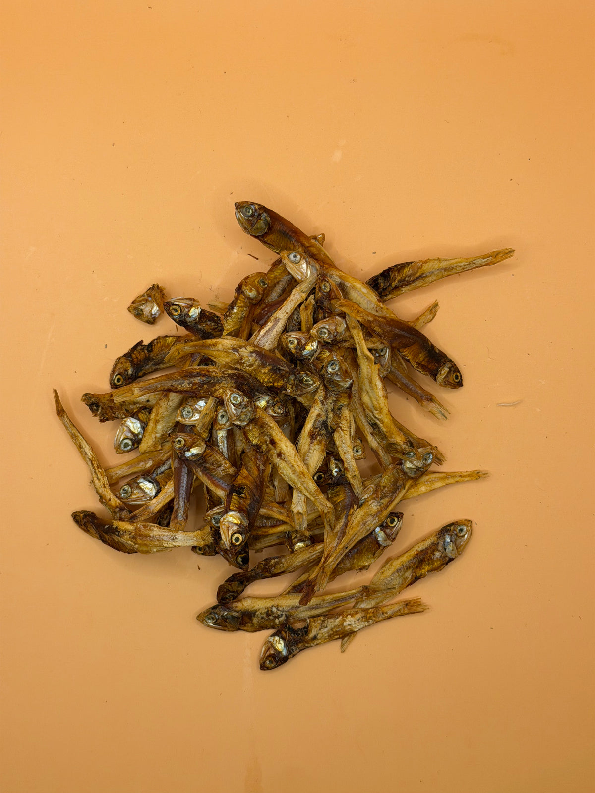 Sprotjes 100g - Gezonde Omega-3 Vissnack - WicoTreats