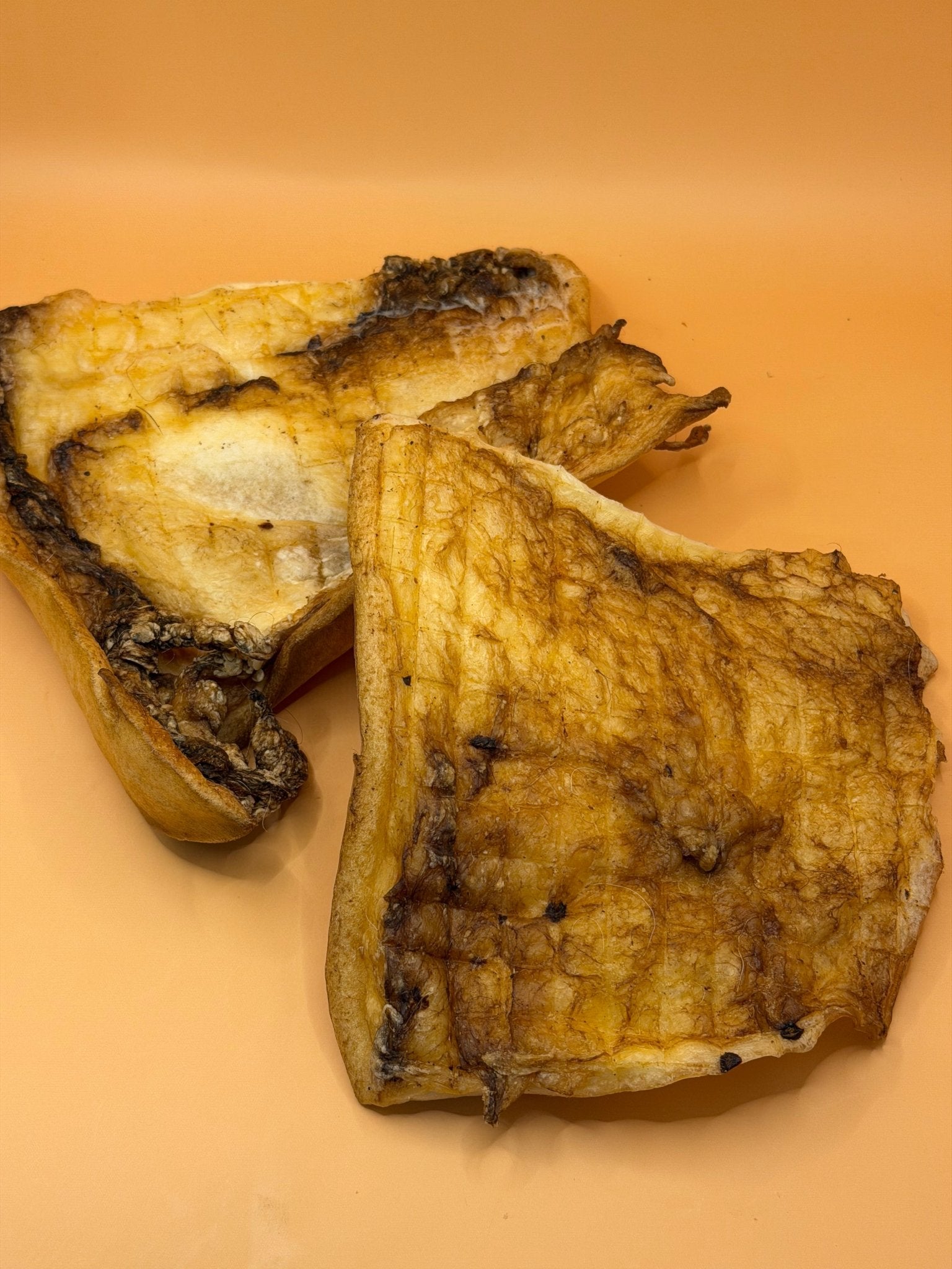 Runderhuidplaten - Extra Harde Natuurlijke Kauwsnack voor Honden - WicoTreats