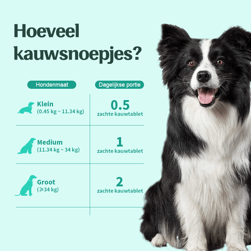 Wico Diervoeding Probiotic Bites — Gezonde darmen, blije dieren - WicoTreats