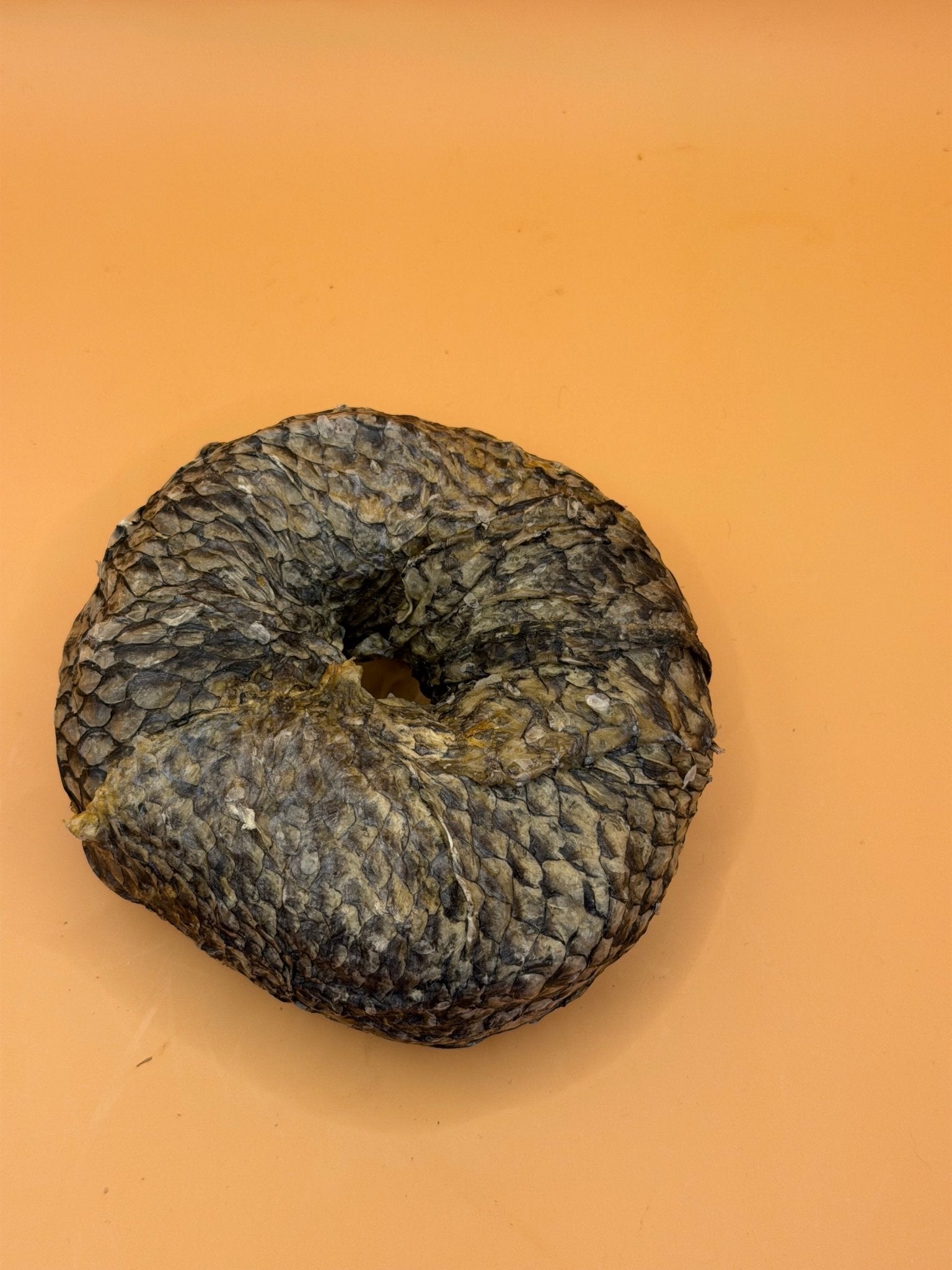 Zalm Donut - Gezonde Omega - 3 Snack voor Honden - WicoTreats