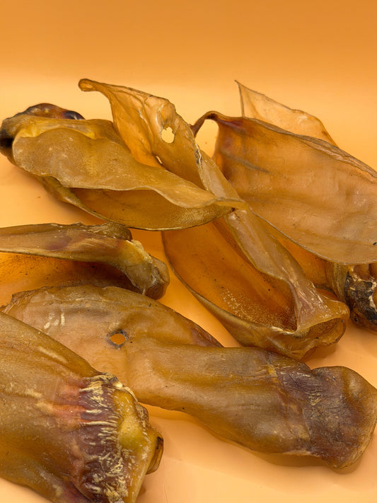 De beste natuurlijke hondensnacks voor honden met een allergie