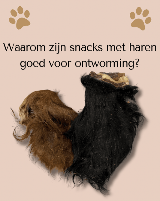 WicoTreats: Waarom snacks met haar dé 'poot-fecte' keuze zijn! - WicoTreats
