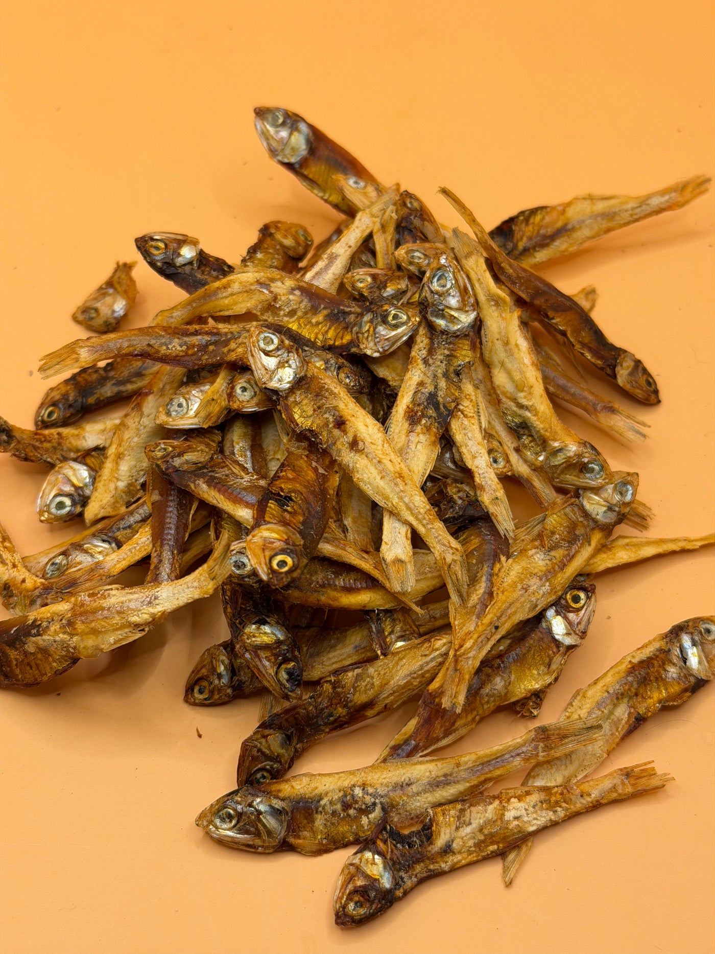 Sprotjes 100g, gedroogde hondensnack van WicoTreats