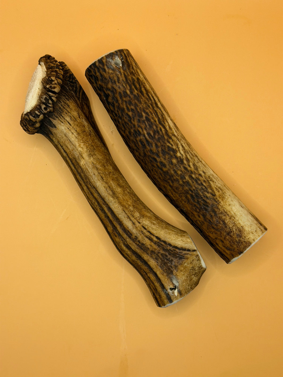 Corno di cervo - Snack da masticare naturale e sostenibile