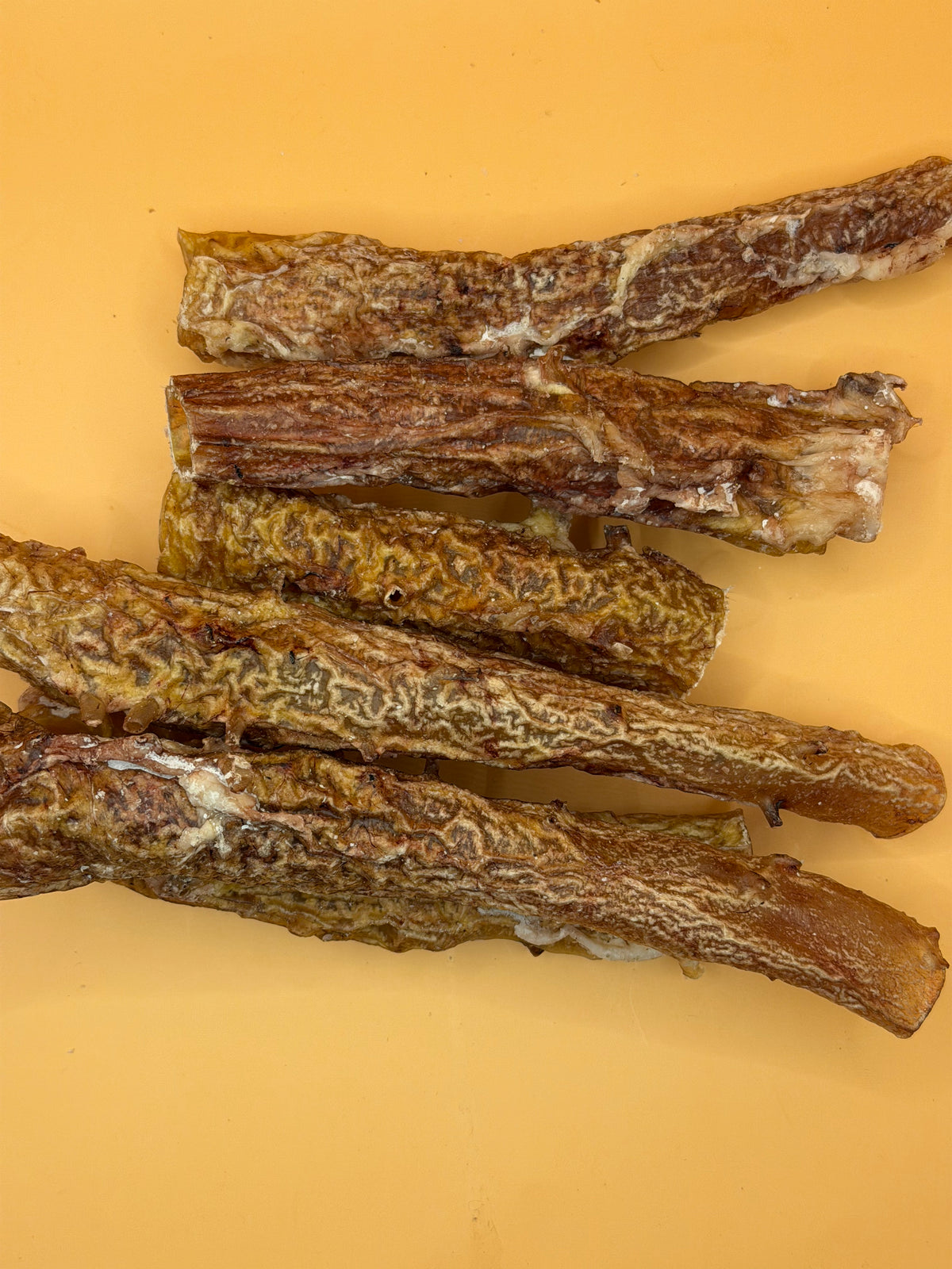 Runder Aorta 500g - Natuurlijke & Elastische Kauwsnack - WicoTreats