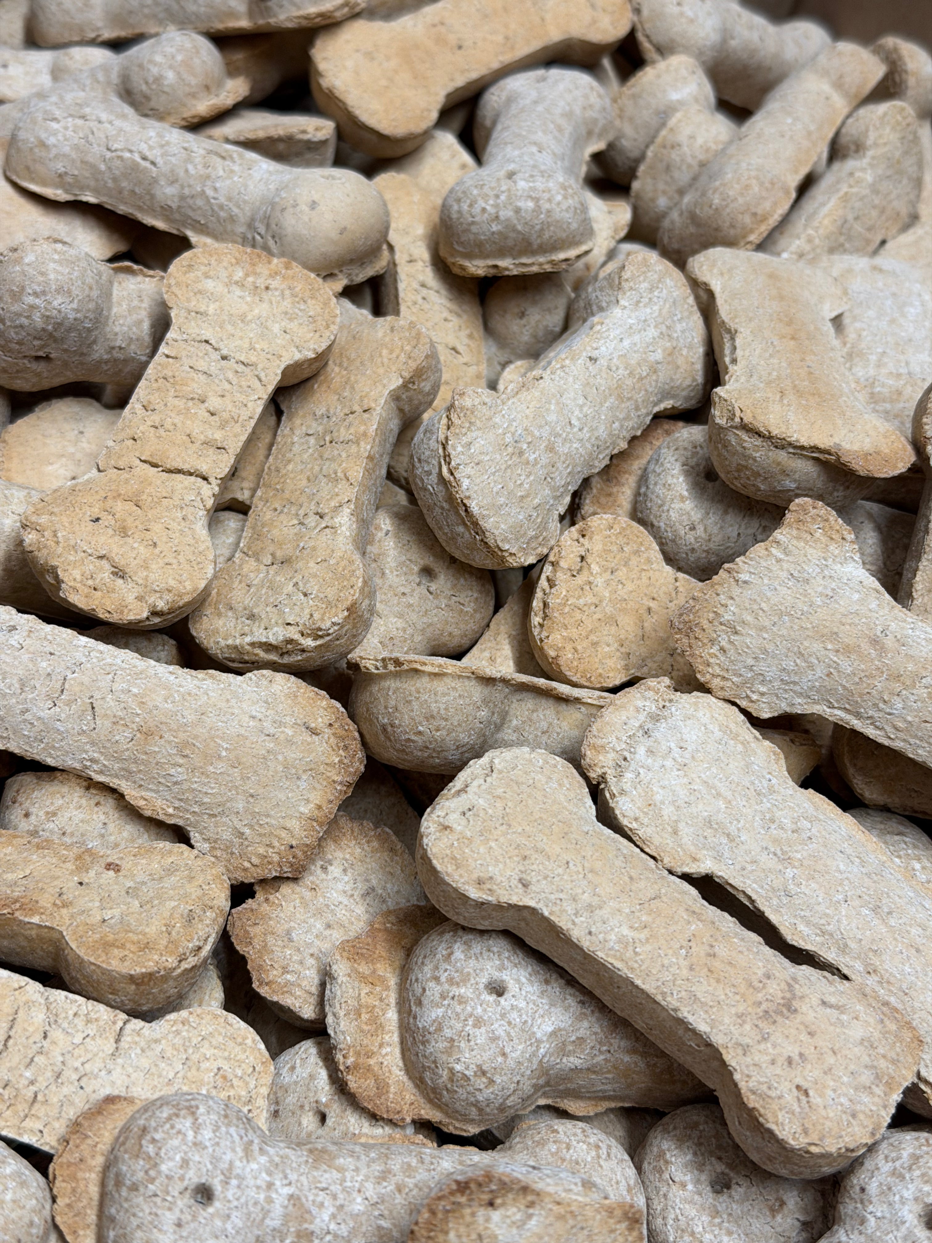 Super kluiven 2 kg - Grote Krokante Hondenkoeken in Botvorm - WicoTreats