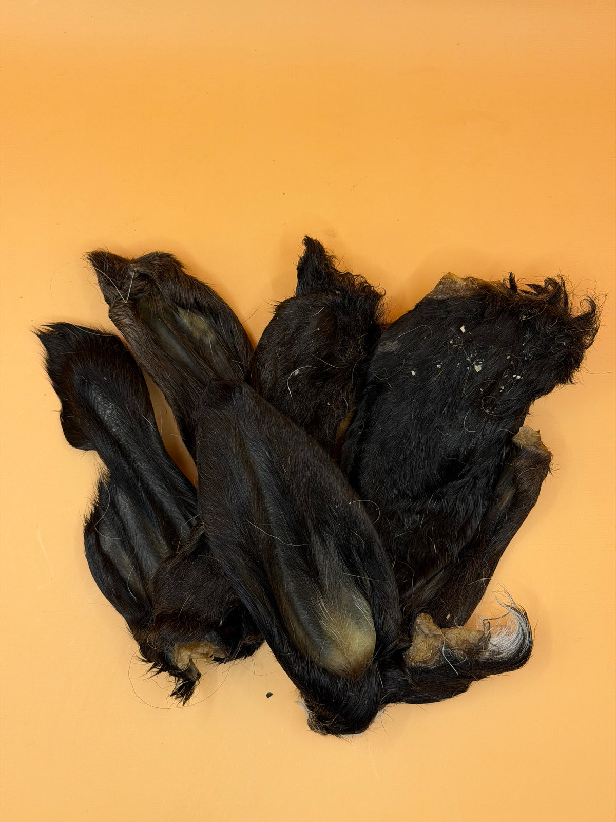 Uszy jagnięce z sierścią - Naturalne oczyszczanie jelit psa-100g