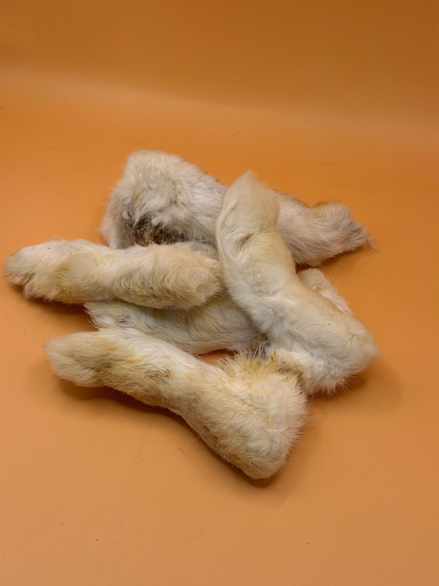 Konijnenpootjes met Vacht 250G, gedroogde hondensnack van WicoTreats