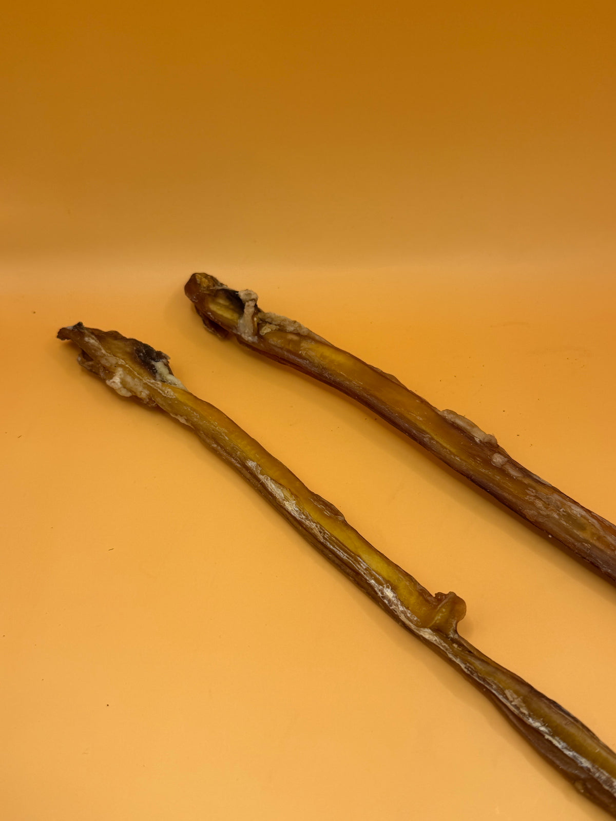 Tendine di vitello 35-40cm - Snack extra lungo e povero di grassi da masticare