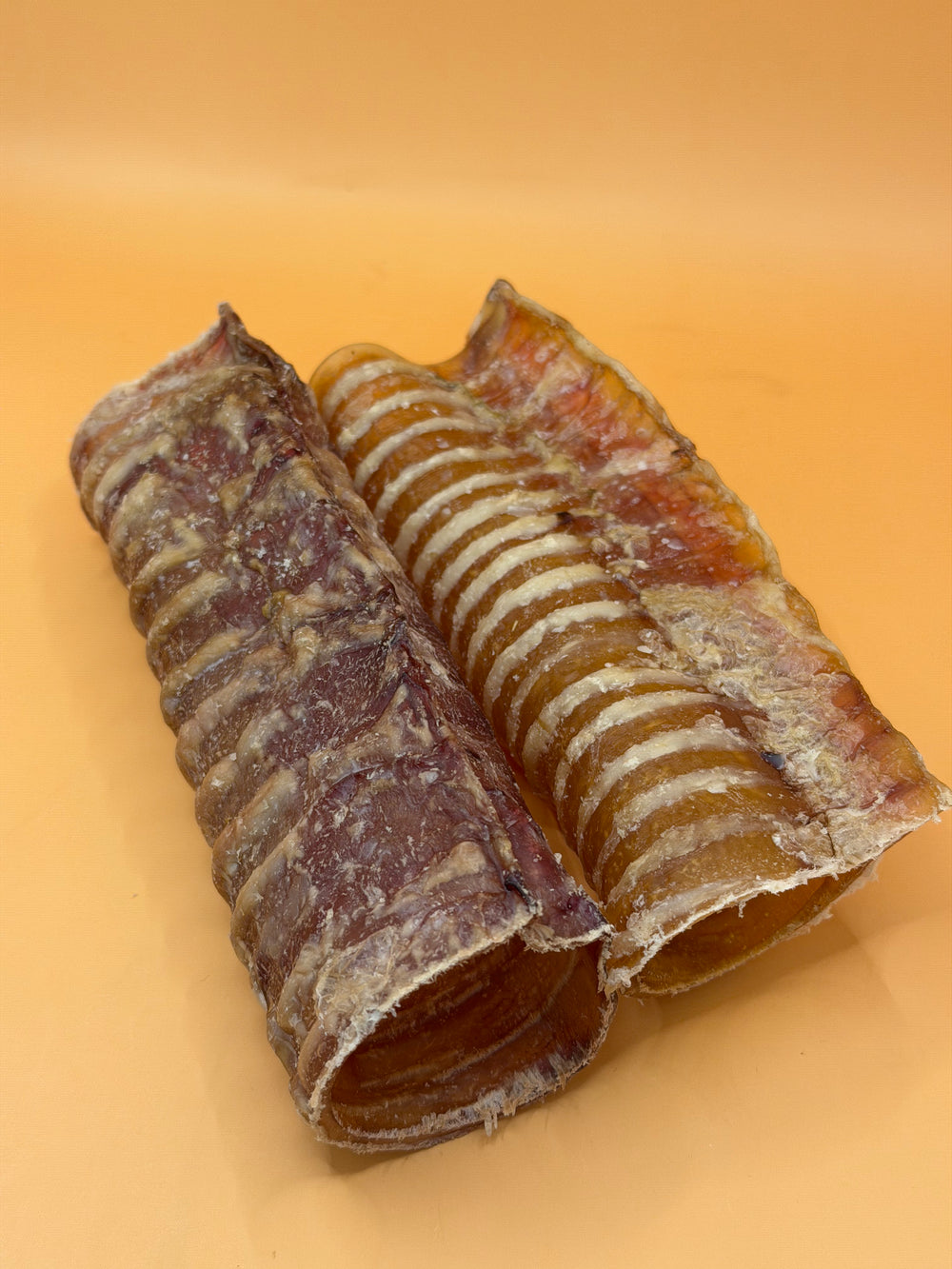 Horse Trachea 2pcs - Hypoallergenic & Natural Chew
