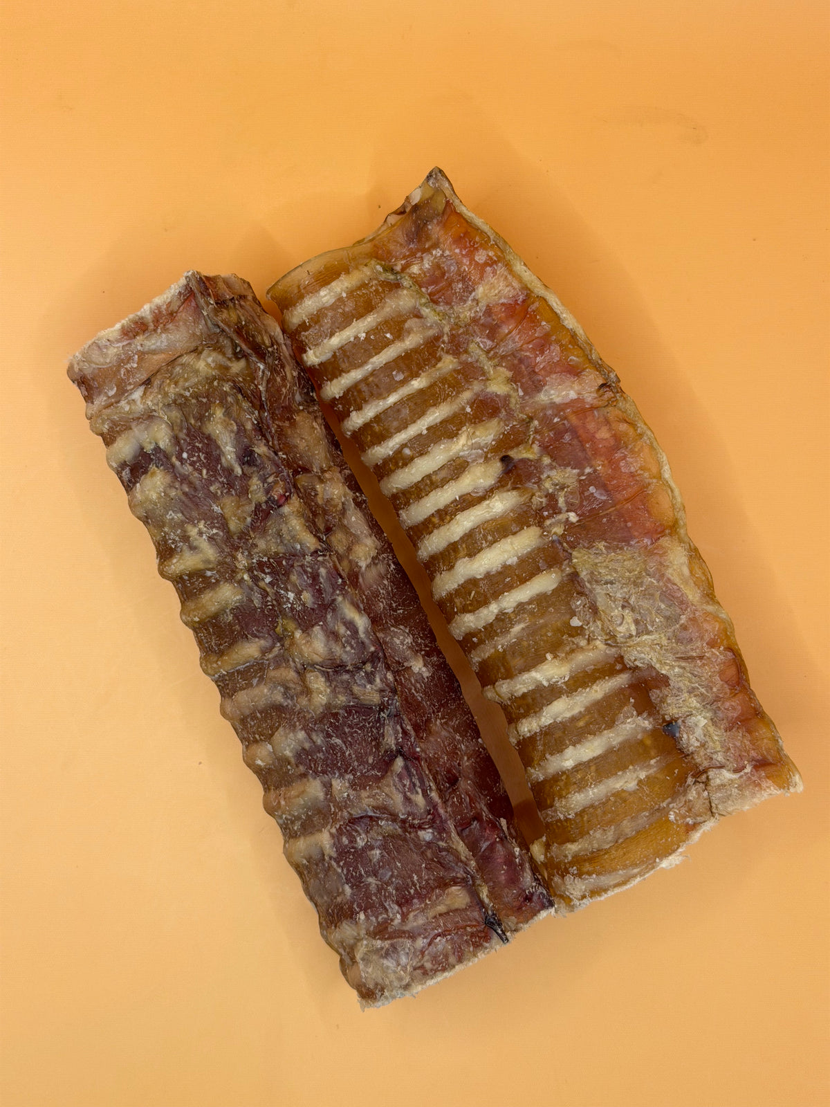 Trachee di cavallo 2pz - Snack da masticare ipoallergenico e naturale