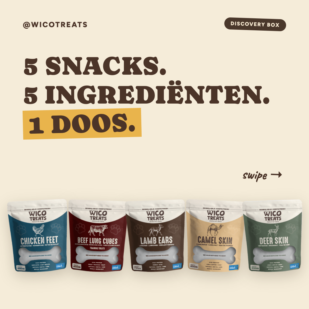 discovery-box - WicoTreats