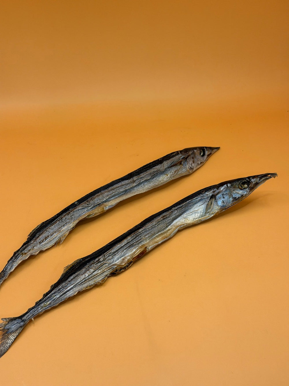 Gedroogde Geep 100g - Gezonde Vis Snack met Omega - 3 - WicoTreats