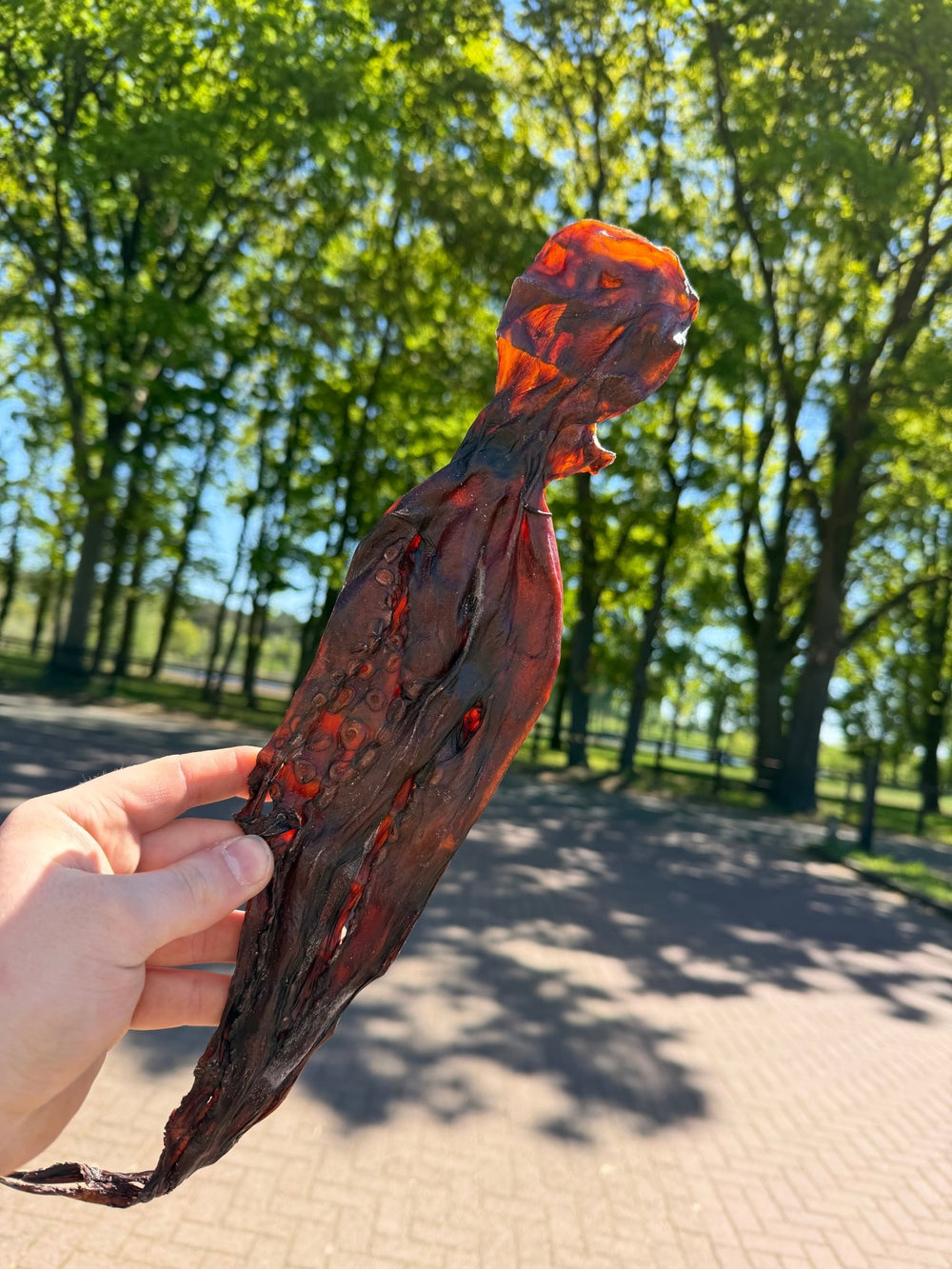 Gedroogde Inktvis - Natuurlijk - WicoTreats