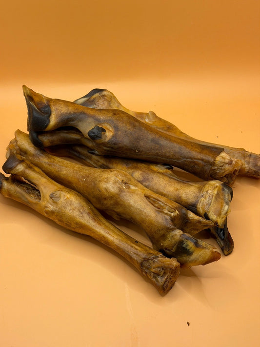 Lamspoot (5 stuks) - WicoTreats