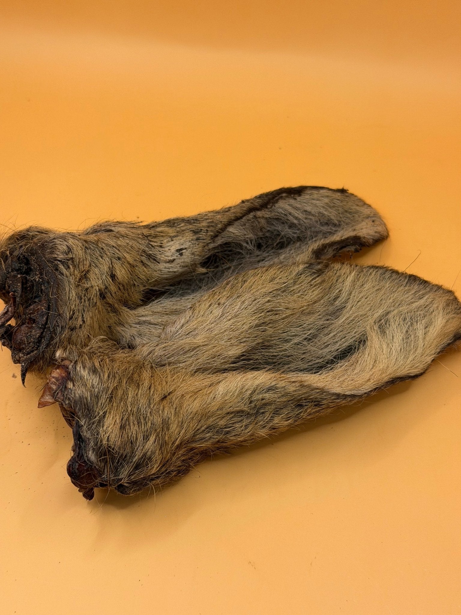 Ree Oren met vacht 2st - Natuurlijke Darmreiniging voor Honden - WicoTreats