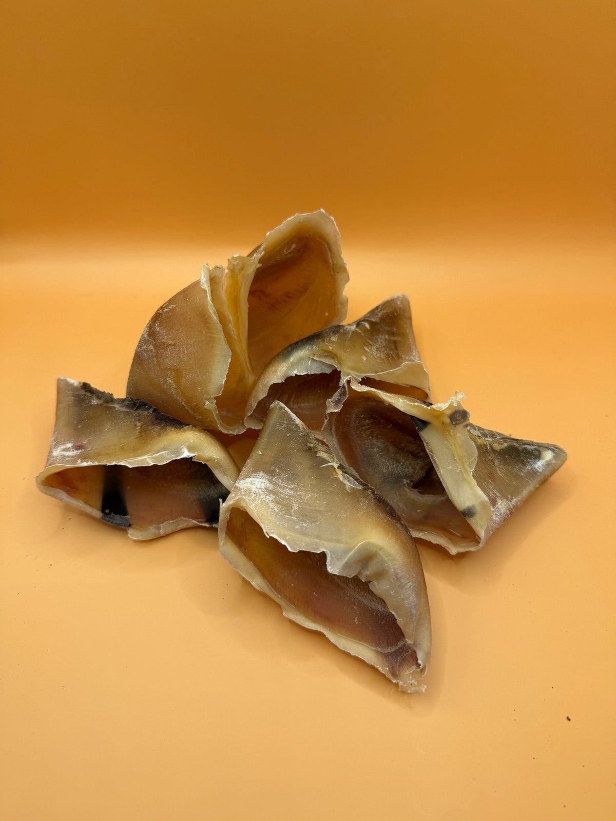 Runderhoef – 100% Natuurlijk Hondensnack - WicoTreats