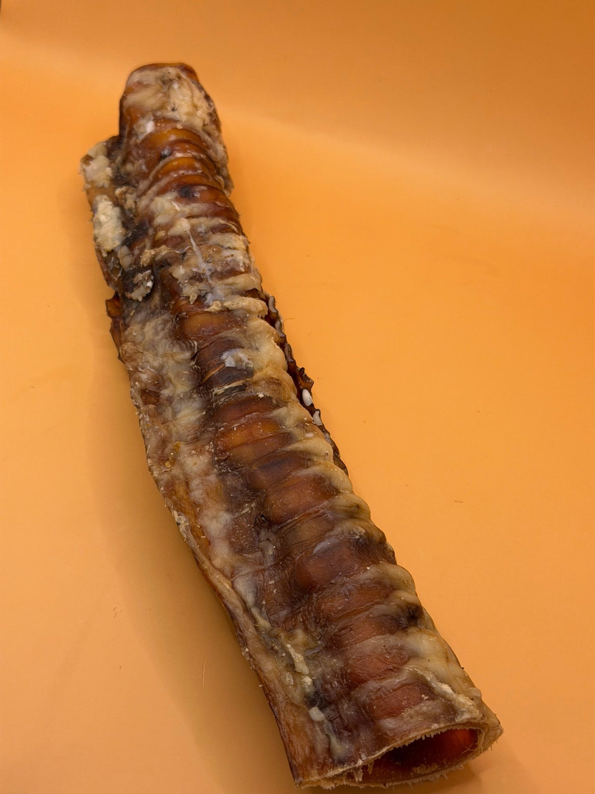 Runderluchtpijp (25-30cm) - WicoTreats