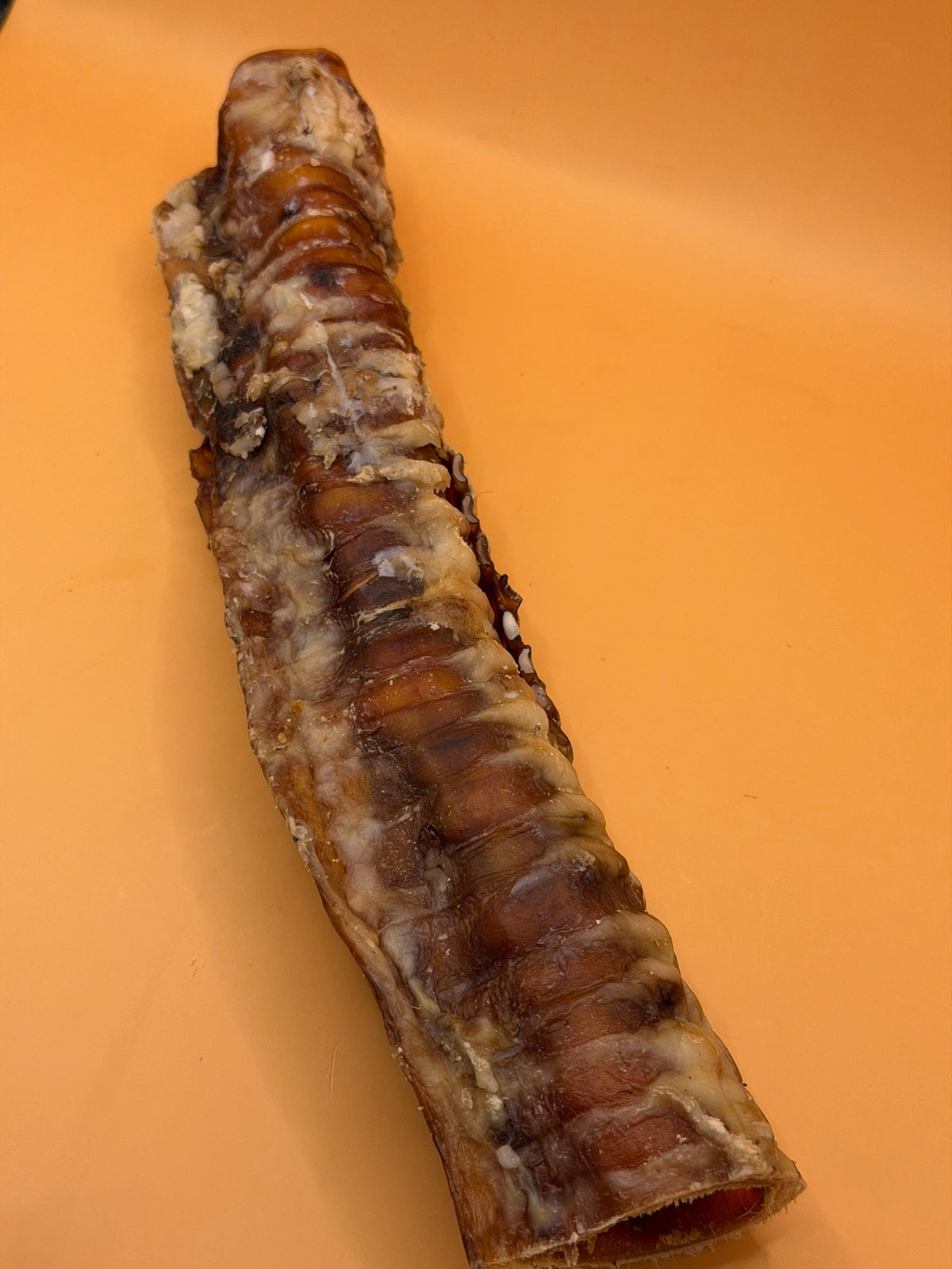 Trachea di manzo (25-30cm)