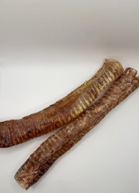 WicoTreats Runderluchtpijp EU (25 - 35cm) - WicoTreats