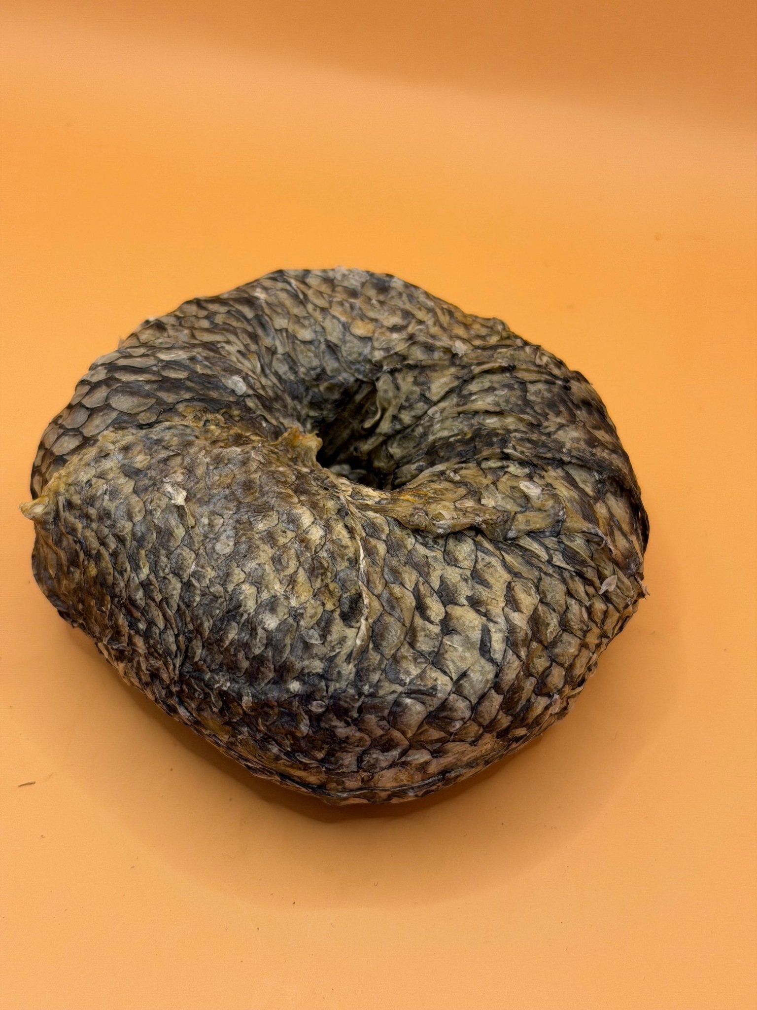 Zalm Donut - Gezonde Omega - 3 Snack voor Honden - WicoTreats